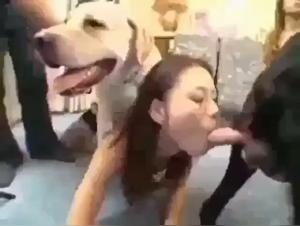 Discover the Extreme: Female Sufferings and Animal Pleasure