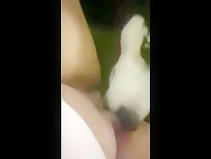 Sex with Dog - Watch our Naughty Husky in Action
