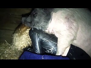 Yasmin surrenders to a dog's wild desires in a bestial fuck