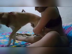 The best porn bestiary scenes of the most naked girls in their lesbian videos