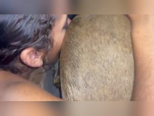 Fuck and Squirt - Mia and Cow in Animal Orgy