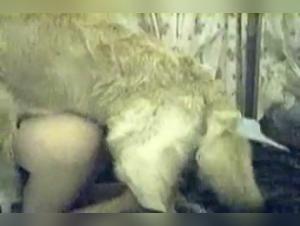 Raw Domination and Animal Fuck