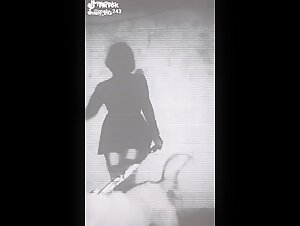 Bestiality sex videos with dogs