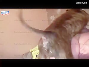 Bestiality Video with a Russian Amateur