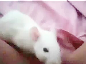 Discover the World of Bestiality and Zoophilia