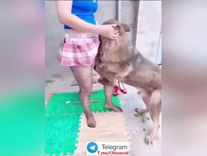 Exploring Animal Desire: A Taboo Relationship in Action