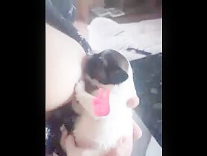 Videos de sexo de bestialidad con perros