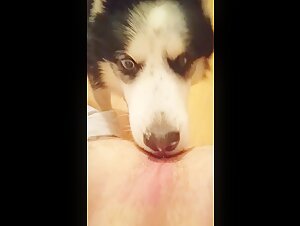Bestiality video: woman and her dog