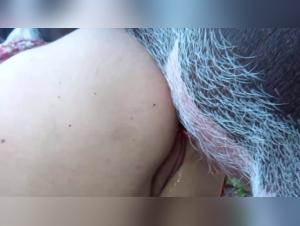 The sex appeal challenge of this slut who doesn't like all dogs. Like that, if you like animal sex and canine friendship