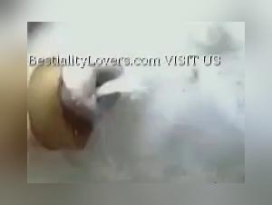 Wild double penetration - Milly and her horse intense