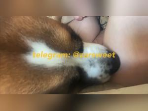 Fuck and dog, wild and intense sexual union