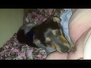 Ver videos exclusivos de sexo con perros