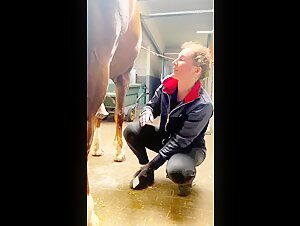 Discover hard and exciting sex scenes with horses