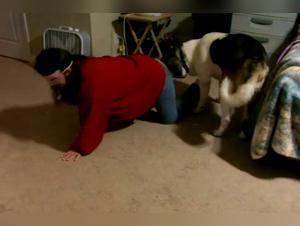 Shocking scenes where animal passion meets human desire.