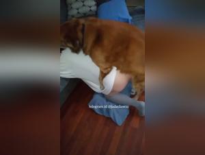 Baise canine hardcore : Latina jouit avec son partenaire canin