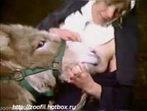 animal orgies in the sacred house