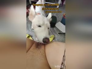 Taboo Unveiling: One Woman, One Dog, Uncontrollable Desires in China