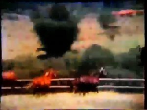 Discover the pleasures of bestiality in a unique vintage video