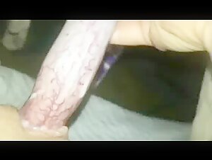 Watch this dog sex video for a hardcore and extreme experience