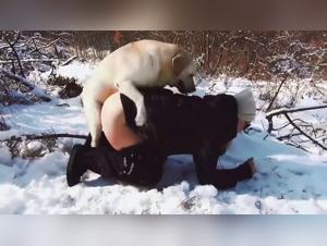 Canine submission, extreme pleasure forbidden