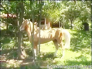 Bestiality Video with Horse Milly: A Taboo and Intense Experience