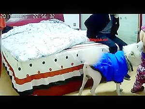 Extreme sex video with an Asian couple and their dog