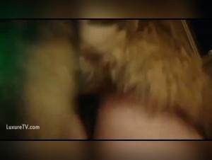 Knots_animales_et_excitation