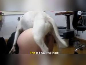 Wild dance of desire: woman, dog and raw vocalization