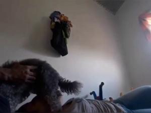 Incestuous Unveilings: Animal Power and Feminine Devotion