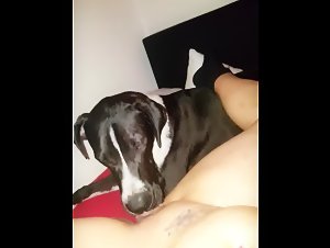 Intensive Zoophilie-Szene: Entdecken Sie dieses Sexvideo mit Hund