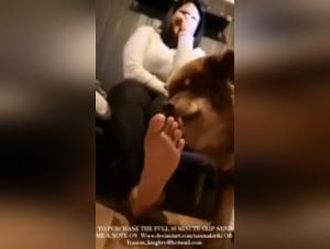 Perro devora los pies llenos de semen