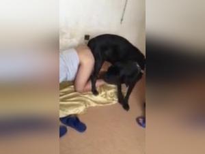 Sluts and dogs: a bond prohibited at the height of excitement