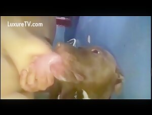 Extreme Breastfeeding with a Dog - Rare Video