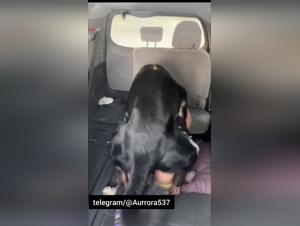 Intense fucking scene