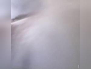 Hardcore Scenes: Bestiality in Video