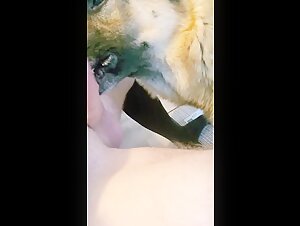Experience the Taboo with This Extreme Dog Sex Video