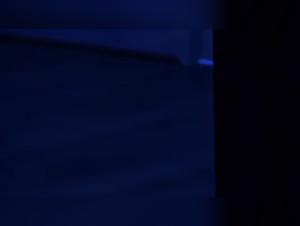 Forbidden Obsessions: The insatiable desire for the dog.