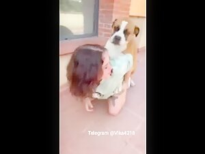 Dog Sex Video: A Forbidden Encounter