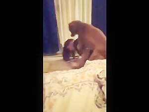 Dog sex video: an extreme experience