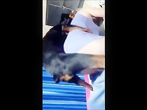 Bestiality video: a mature woman and a dog