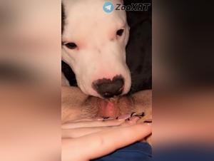 Canine violence, raw erotic delight