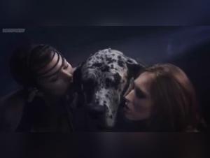 Raw domination, heightened instincts: Explore extreme animal XXX