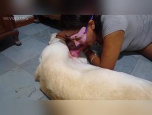 Slut and her dog - incandescent exaltations