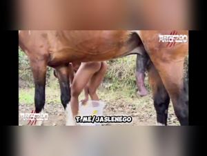 Explore the Peaks of Animal Pleasure with Milly