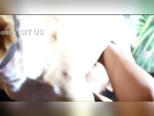 Immersion in the extreme: Women, Dogs and Brutal Passion