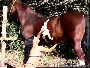 Zutibeastiality: Sex with canines randagio in ecstasy of pleasure