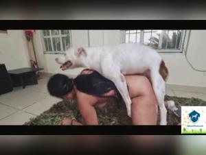 Alison Productions Presents: Sadistic Dog Fun