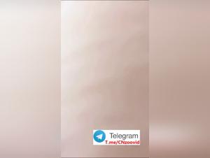 Insatiable Passion: An Asian Woman and her Dog in Erotic Power Play