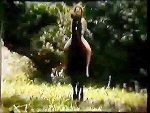 Discover the unique experience of this film featuring a man, a woman and a horse