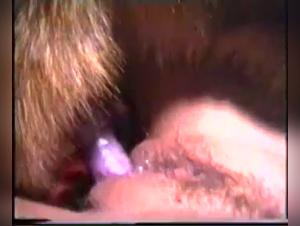 Feline hardcore: Limitless fucking with a captivating girl